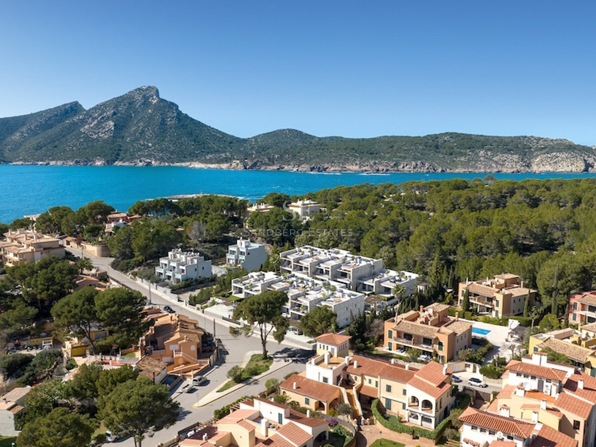 Vista aérea de villas costeras entre pinos junto al mar turquesa con un pico montañoso al fondo.