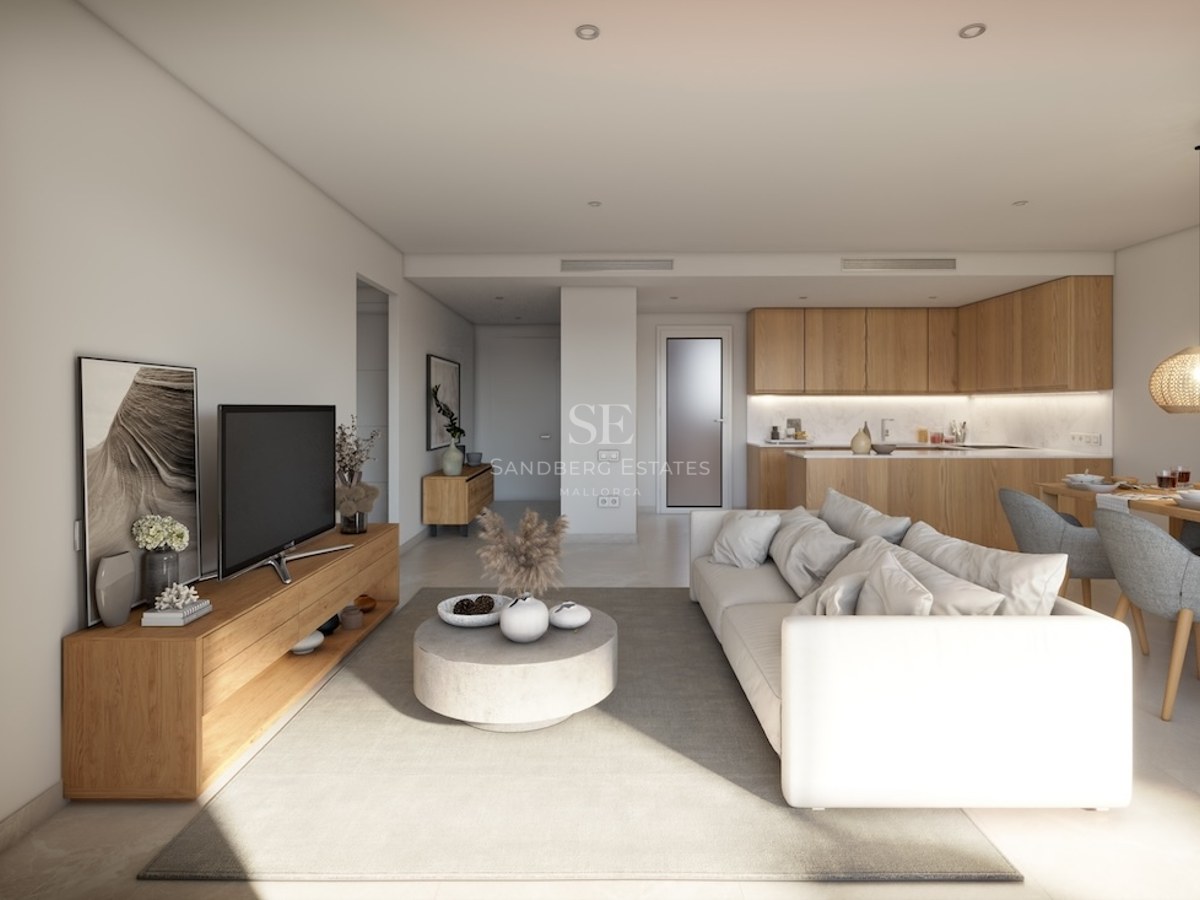 Bright living room with white sofa, wooden TV stand, grey rug, and integrated kitchen in the background.