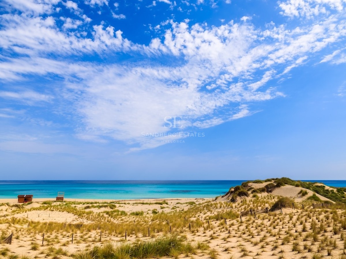 Golden sand dunes leading to a turquoise ocean under a bright blue sky with wispy white clouds.