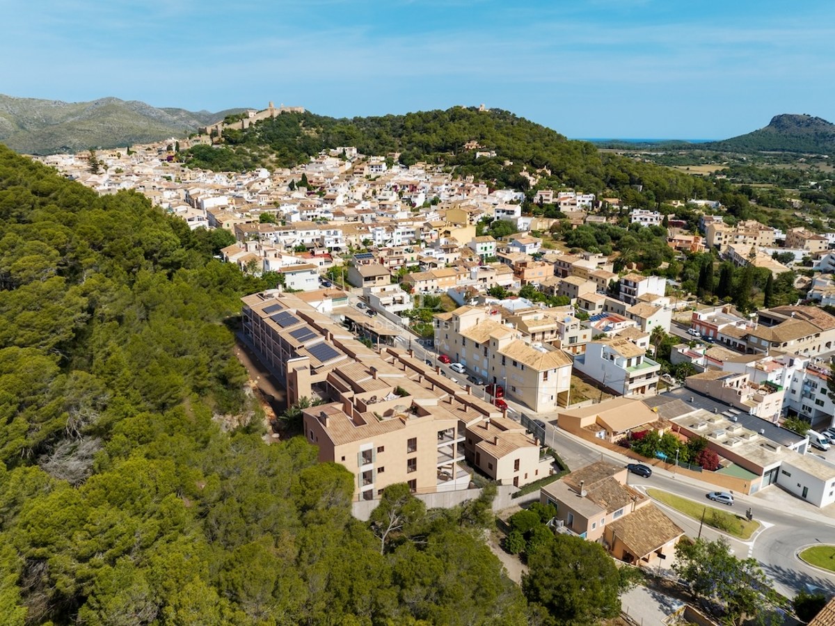 Aerial view of a Mediterranean town nestled against a pine forest with a historic castle on the hill and sea in distance.