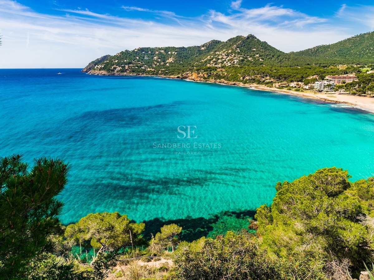 Vista desde lo alto de una bahía turquesa clara rodeada de pinos verdes y montañas lejanas bajo un cielo azul.