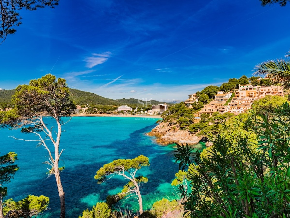 Bahía de aguas turquesas rodeada de pinos y casas en la colina bajo un cielo azul despejado.