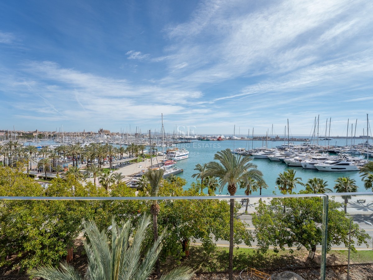 Vue surélevée à travers un garde-corps en verre surplombant une marina remplie de yachts avec des palmiers et la cathédrale.