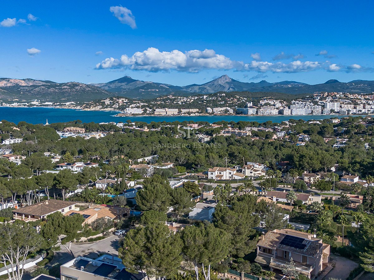 Toma aérea de gran altura de villas de lujo entre pinos con vistas a una bahía azul y montañas al fondo.