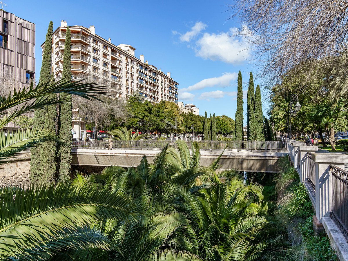 A sunny urban park with palm trees, a pedestrian bridge, and modern apartment buildings under a blue sky.