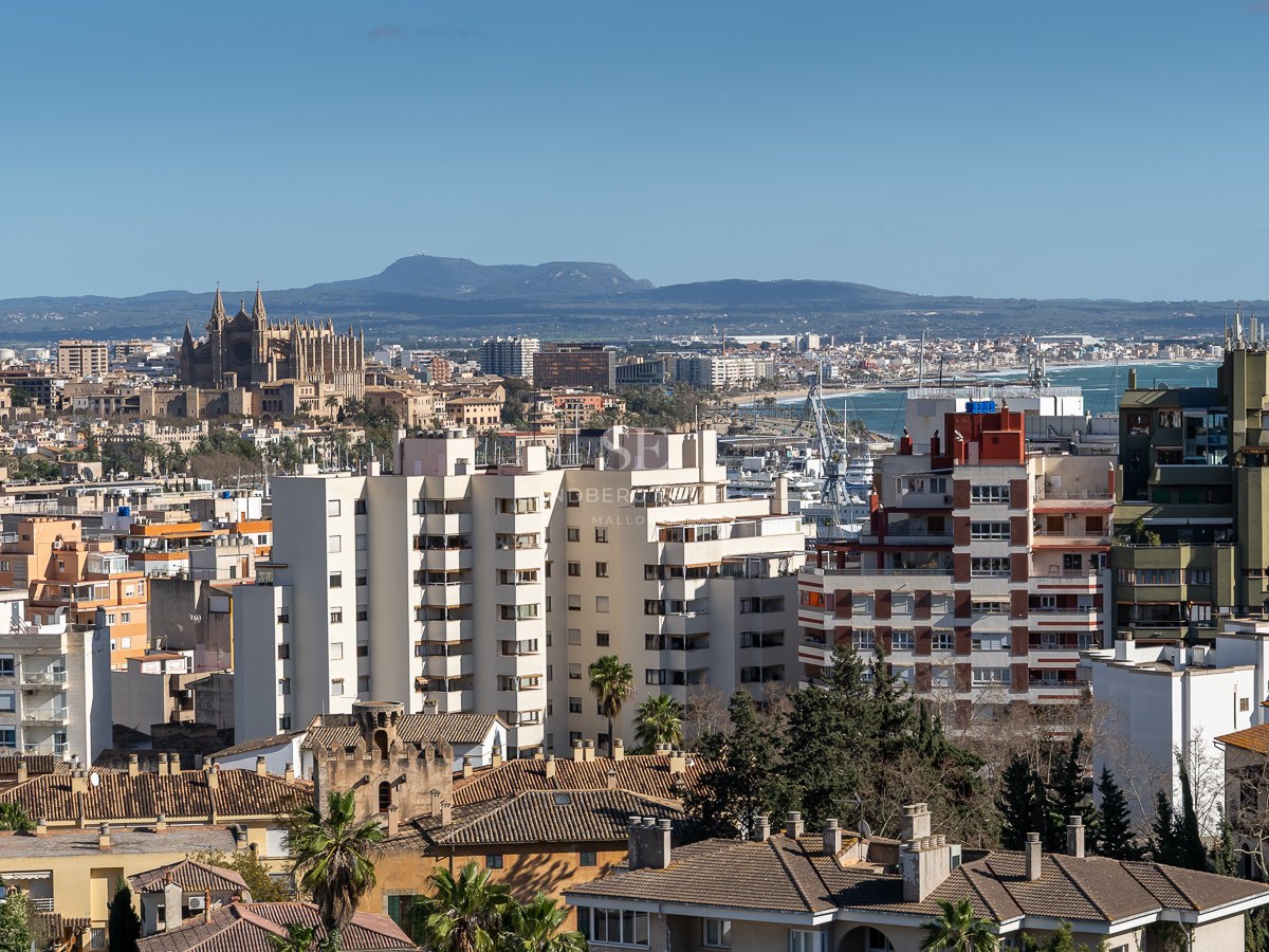 Upphöjd vy över Palma de Mallorcas skyline med katedralen, stadens byggnader och Medelhavet.