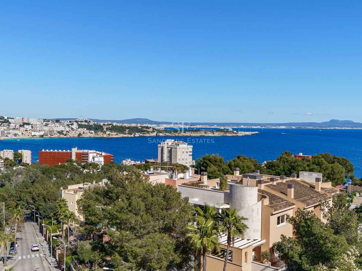 Wide-angle elevated view of a deep blue bay, coastal buildings, and pine trees under a clear sky.
