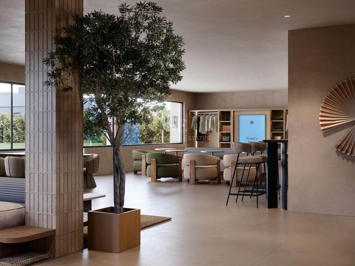 Modern lobby with a tall indoor tree, olive green armchairs, tiled pillars, and large windows looking outside.