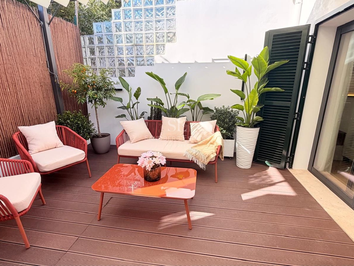 Terrace featuring wood decking, terracotta-colored outdoor furniture, and decorative plants under bright natural light.