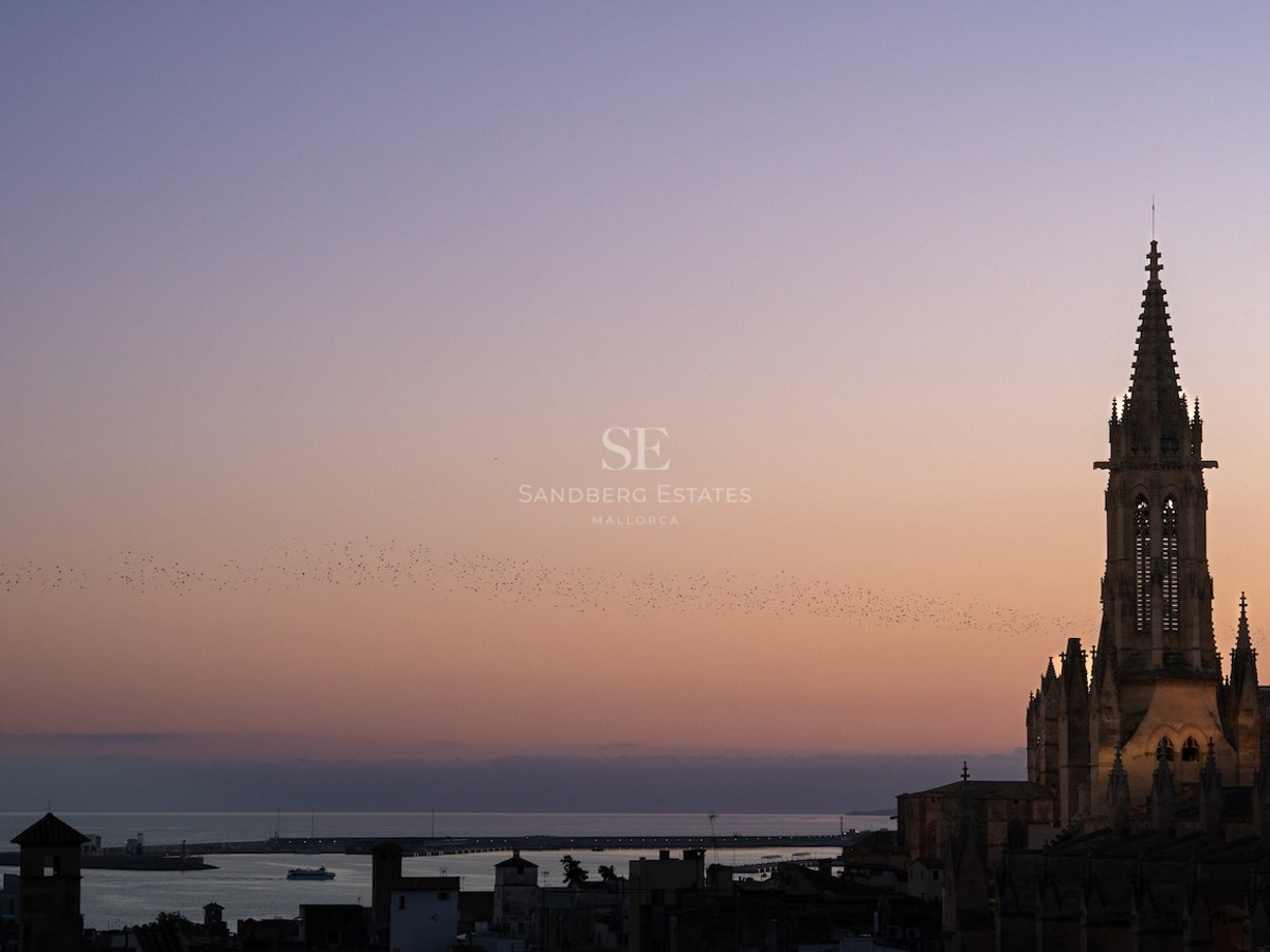 Atardecer sobre Palma de Mallorca con la silueta de la catedral de La Seu y la bahía al anochecer.