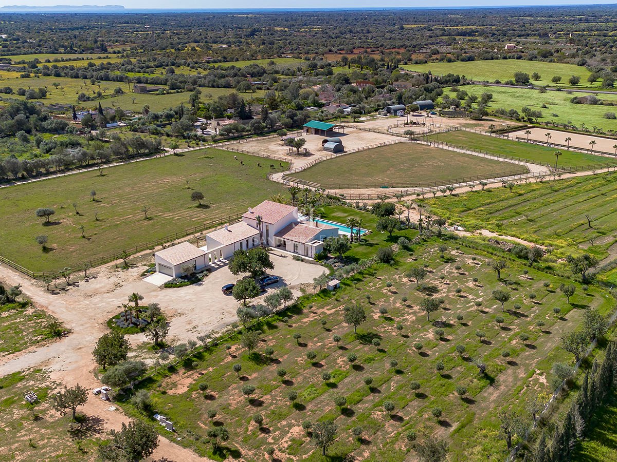 High-angle aerial view of a white luxury villa with a swimming pool, surrounded by olive groves and rural fields.