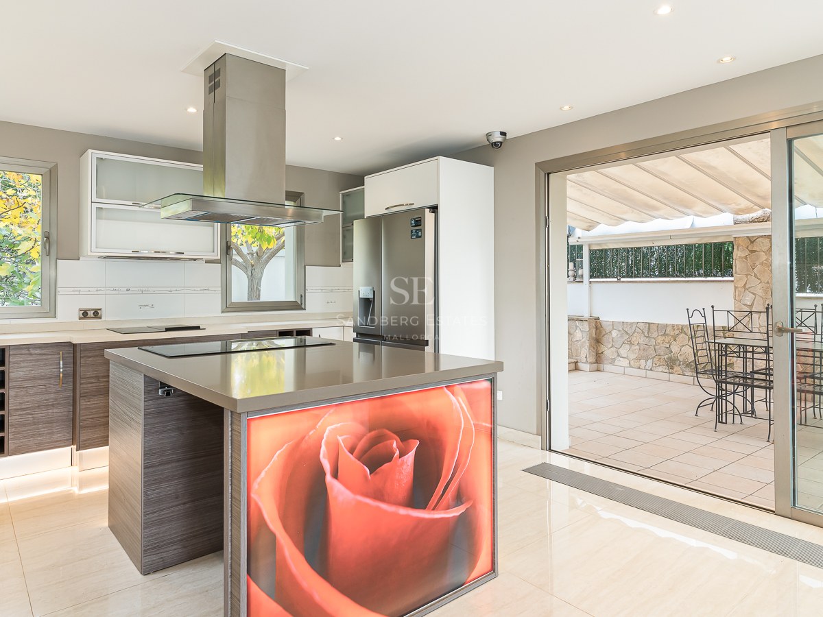 Modern kitchen featuring a large island with a red rose graphic, stainless steel appliances, and patio doors.