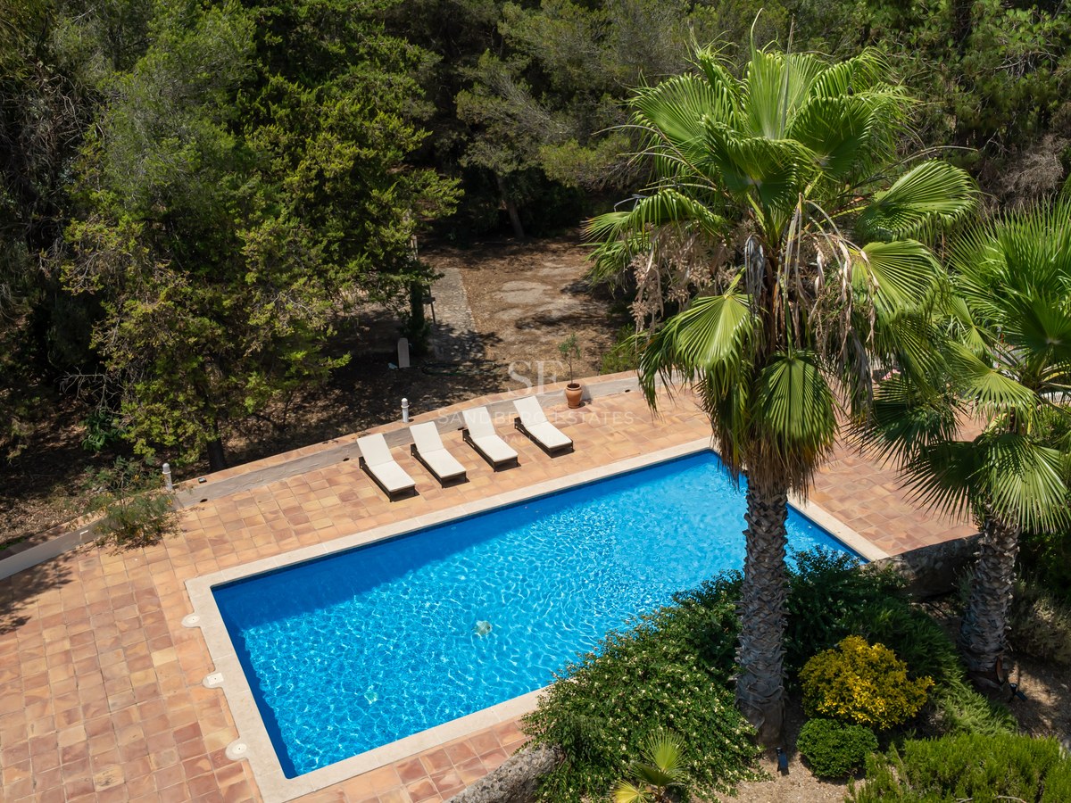 Aerial view of a rectangular blue swimming pool surrounded by terracotta tiles and tall palm trees in a forest setting.