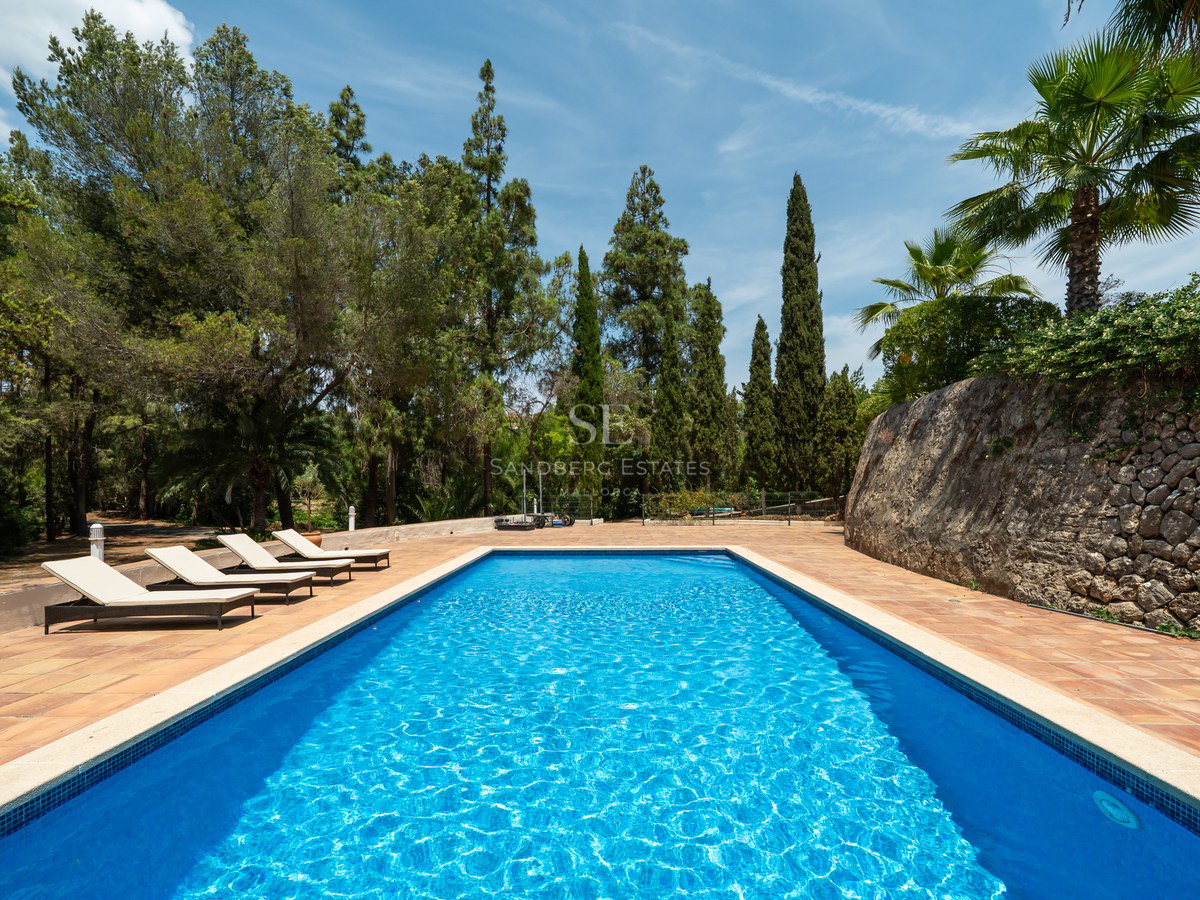 Rectangular blue swimming pool with four sun loungers on a terracotta terrace, framed by tall pine and palm trees.