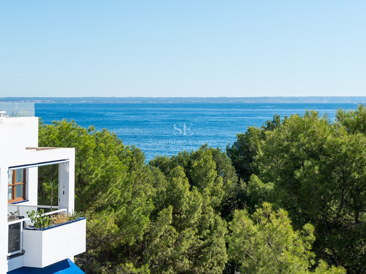 Vue imprenable sur la mer bleue et l'horizon au-dessus de la cime des arbres verts depuis le balcon d'un bâtiment blanc.