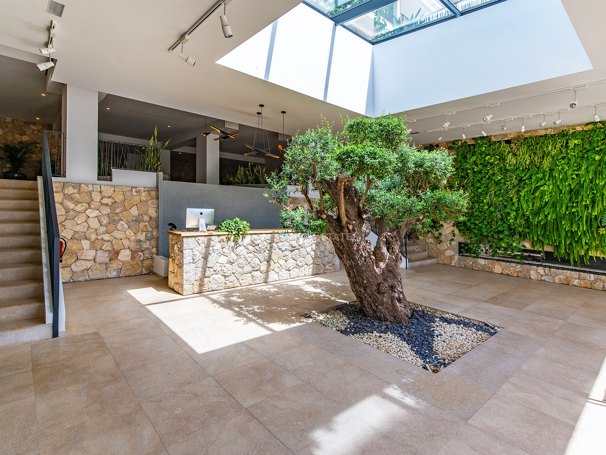 Lobby contemporain présentant un grand olivier d'intérieur sous un puits de lumière, des murs en pierre et un mur végétal.