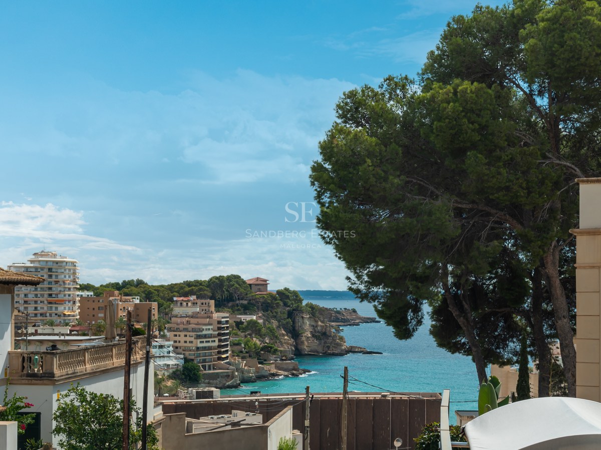 Vista elevada de una bahía turquesa con edificios mediterráneos, acantilados y un pino grande bajo un cielo azul.