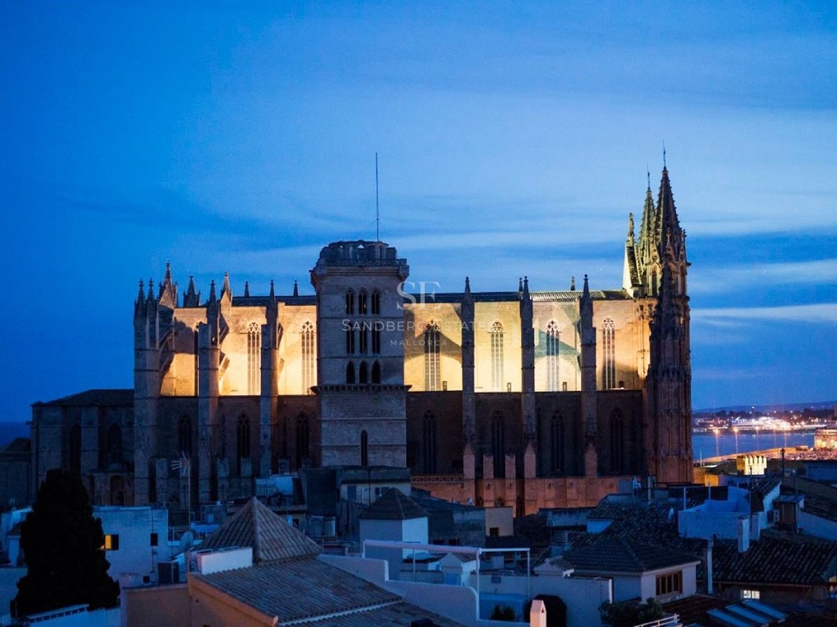 A majestic Gothic cathedral illuminated in warm light against a deep blue night sky over urban rooftops.