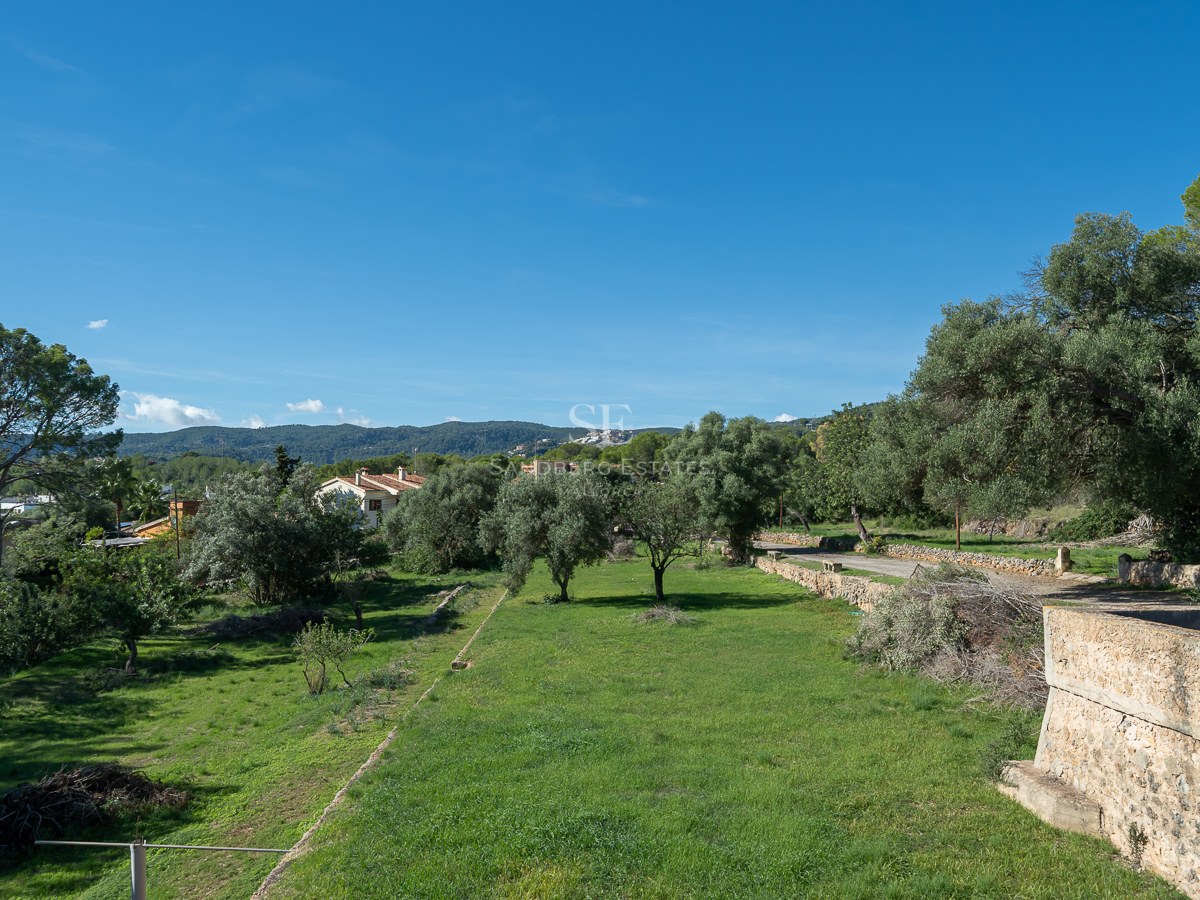 Vista amplia de un césped verde rodeado de olivos y muros de piedra rústica bajo un cielo azul claro.