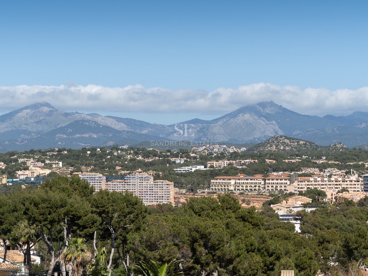 Luftaufnahme einer mediterranen Landschaft mit Pinienwäldern, Wohngebäuden und Bergen unter blauem Himmel.