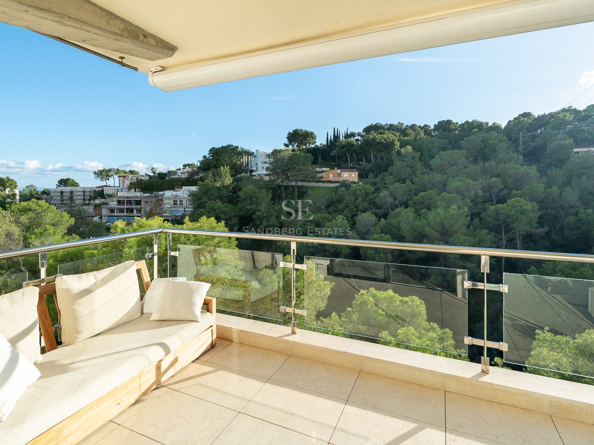Modern wooden sofa on a sunny terrace with glass railings overlooking a lush green forest.