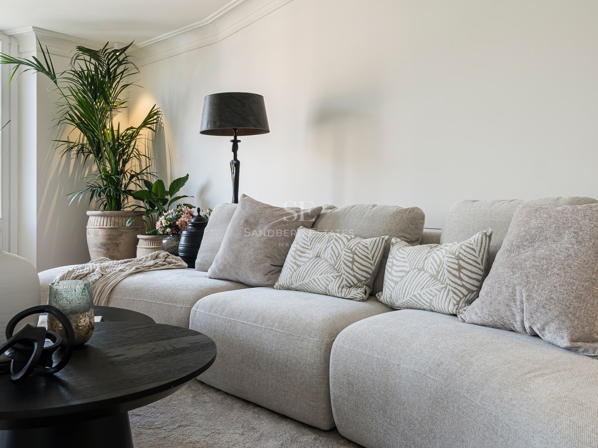Sofá modular beige, mesa de centro negra y planta interior frente a ventanal con vistas a arquitectura histórica.
