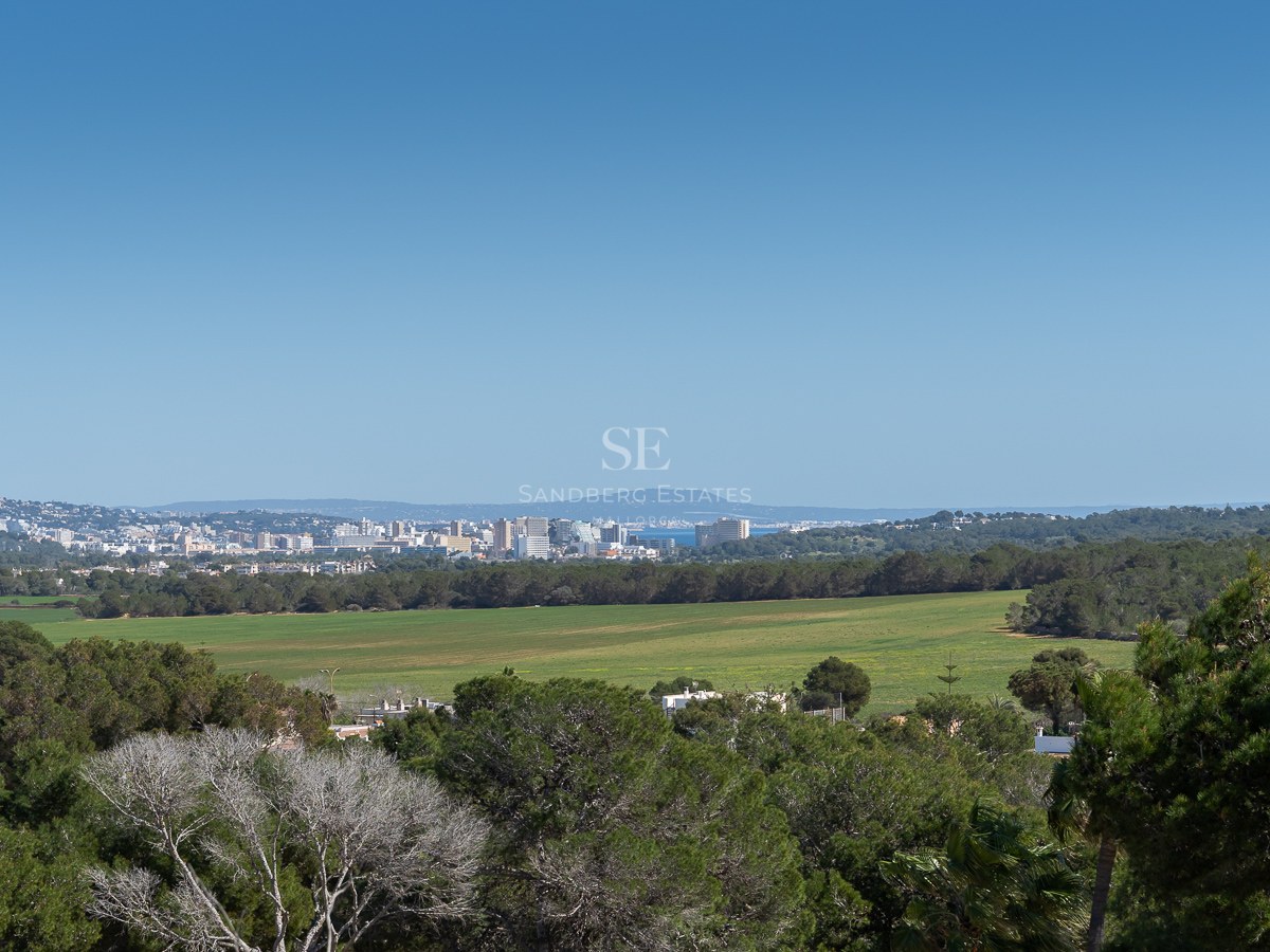 Erhöhter Landschaftsblick über grüne Felder und Pinienwälder auf die Skyline der Stadt und das Meer in der Ferne.