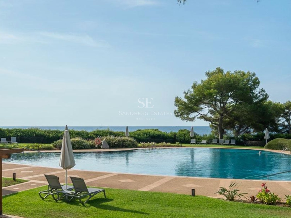 A large blue swimming pool surrounded by a stone deck, green lawn, sun loungers, and pine trees with sea views.