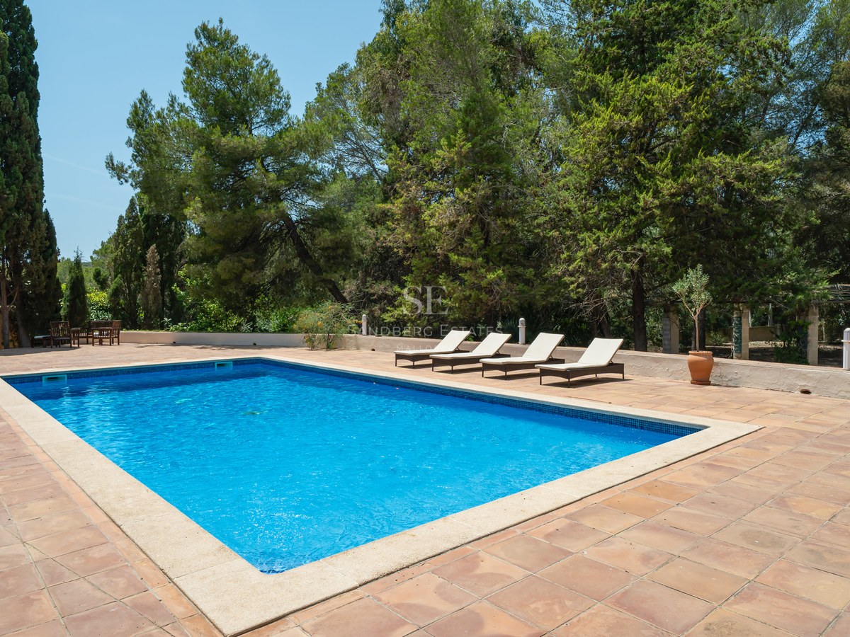 Rectangular blue swimming pool on a terracotta terrace with four sun loungers and lush green trees in the background.