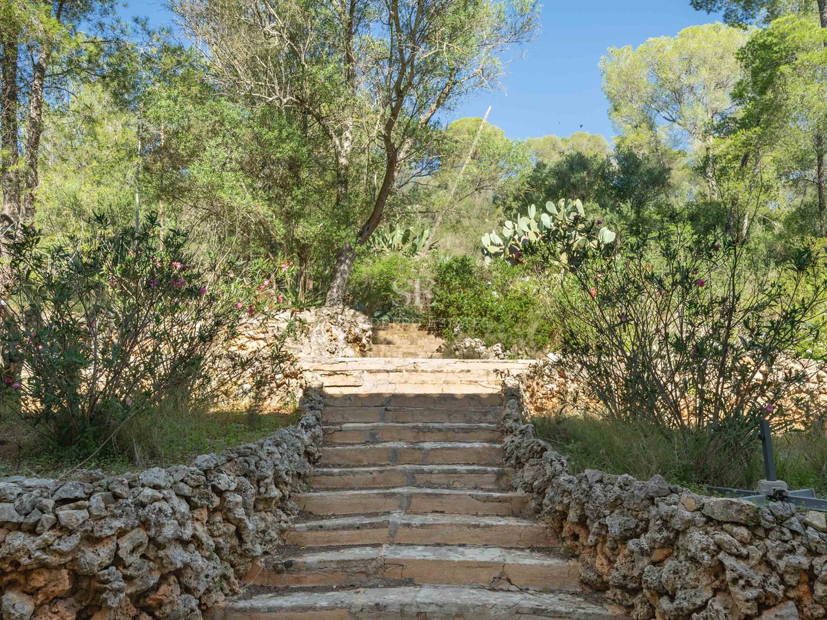 Escalones de piedra natural flanqueados por muros de piedra y vegetación mediterránea bajo un cielo azul claro.