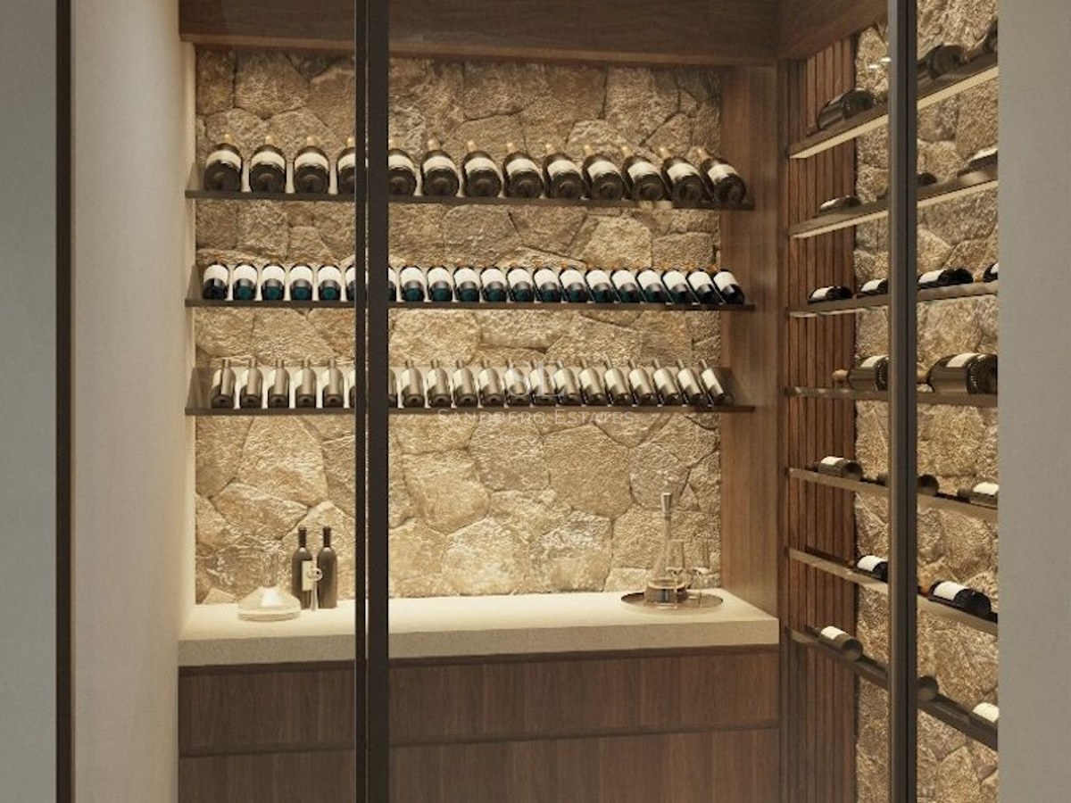 Modern wine cellar with glass doors, natural stone walls, and illuminated wine shelving.