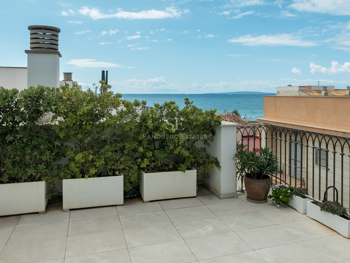 Une terrasse ensoleillée sur le toit avec de grands bacs à fleurs blancs, des buissons verts, une balustrade en fer forgé et une vue sur l'océan bleu.