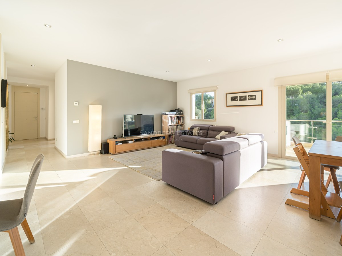 Bright modern living room featuring grey sofas, a wooden dining table, and large windows overlooking a lush green forest.