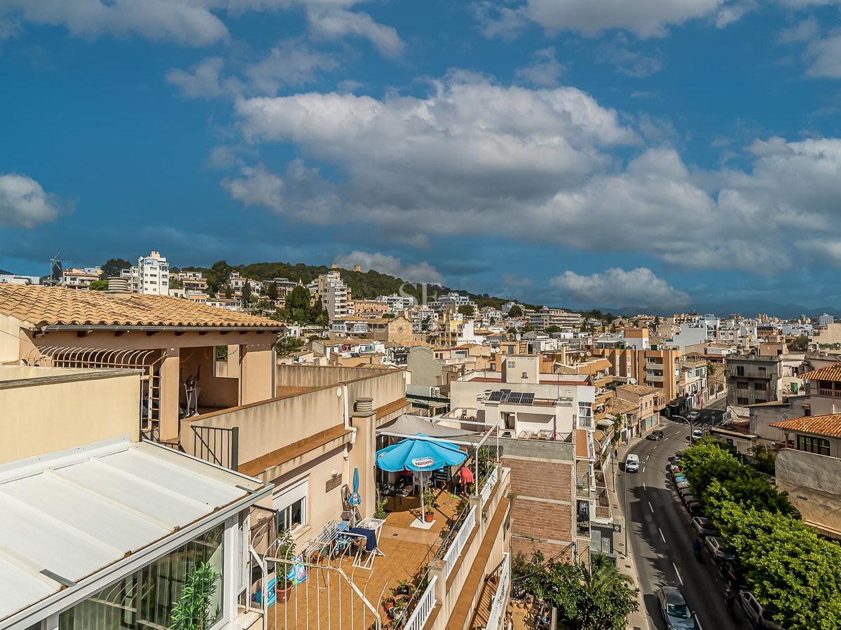 Vue surélevée des toits d'une ville méditerranéenne, une rue bordée d'arbres et des montagnes au loin.