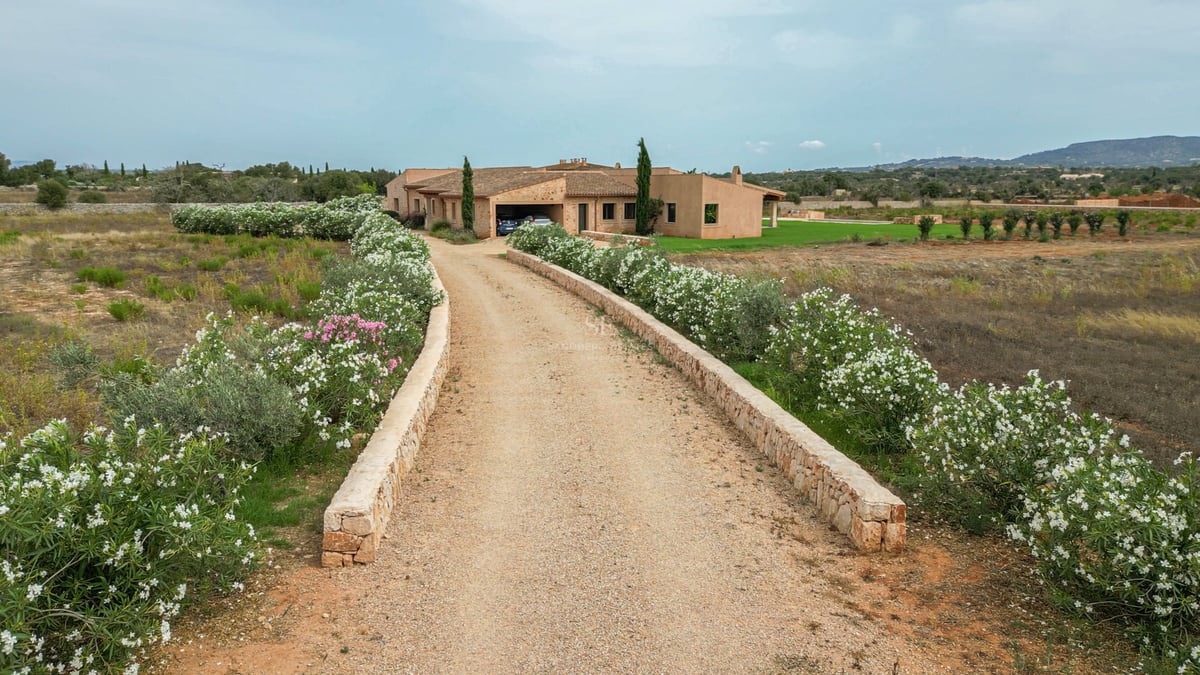 Une allée de gravier bordée de lauriers-roses blancs menant à une villa rustique en pierre sous un ciel doux.