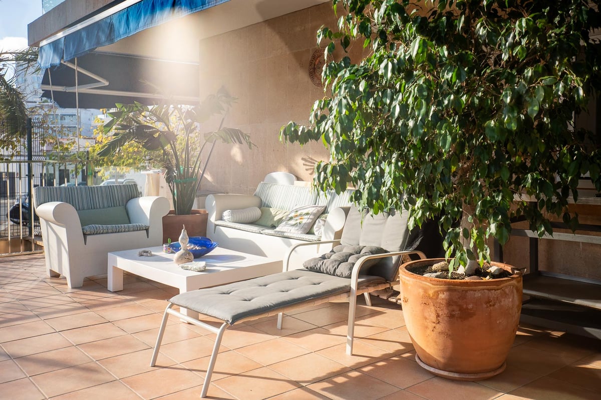 Terrasse ensoleillée avec canapés blancs, chaise longue grise, sols en terre cuite et plantes en pot sous un store bleu.