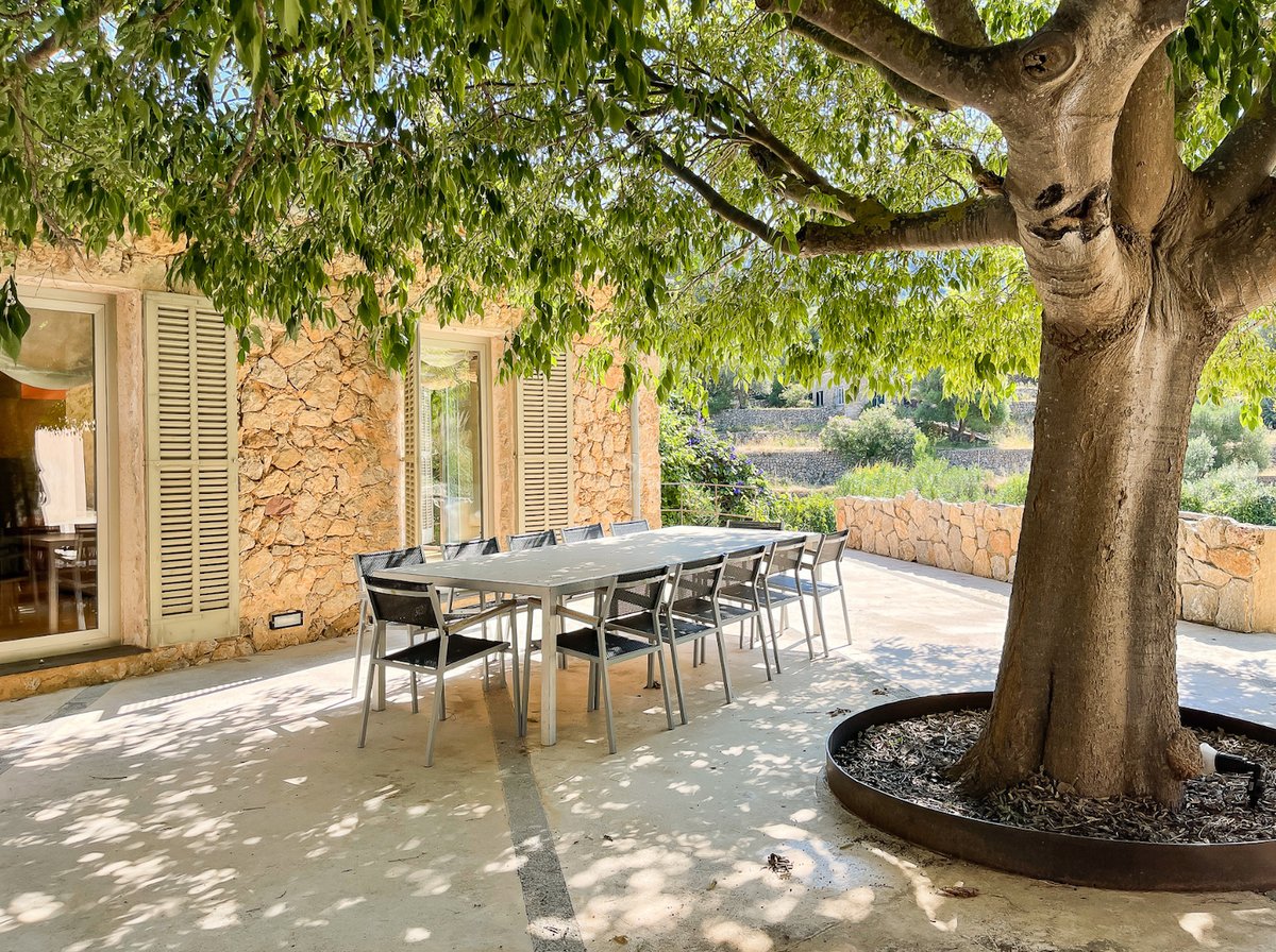 Table à manger moderne sous un grand arbre sur une terrasse en pierre naturelle à Majorque.