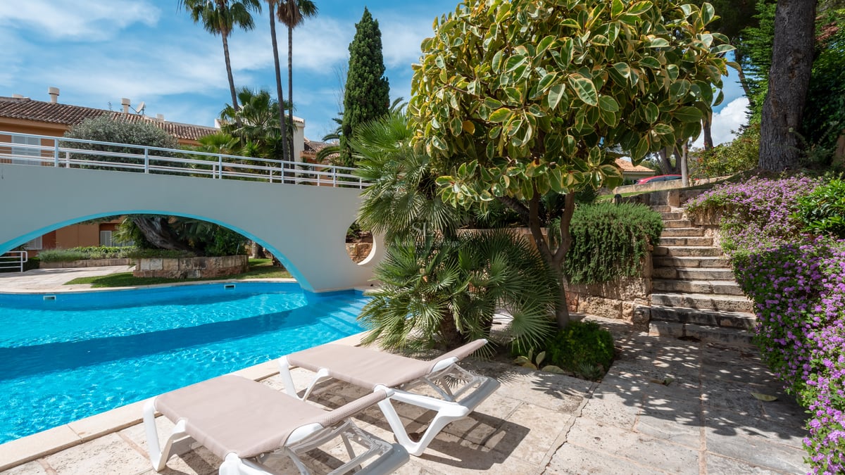 Chaises longues au bord d'une piscine turquoise avec un pont blanc et une végétation luxuriante.