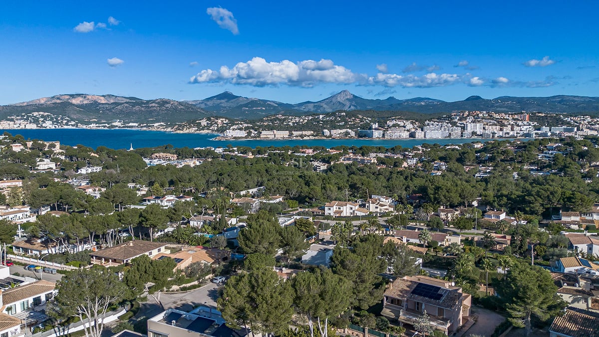 Vue aérienne de villas de luxe nichées dans les pins avec une large baie et des montagnes au loin.