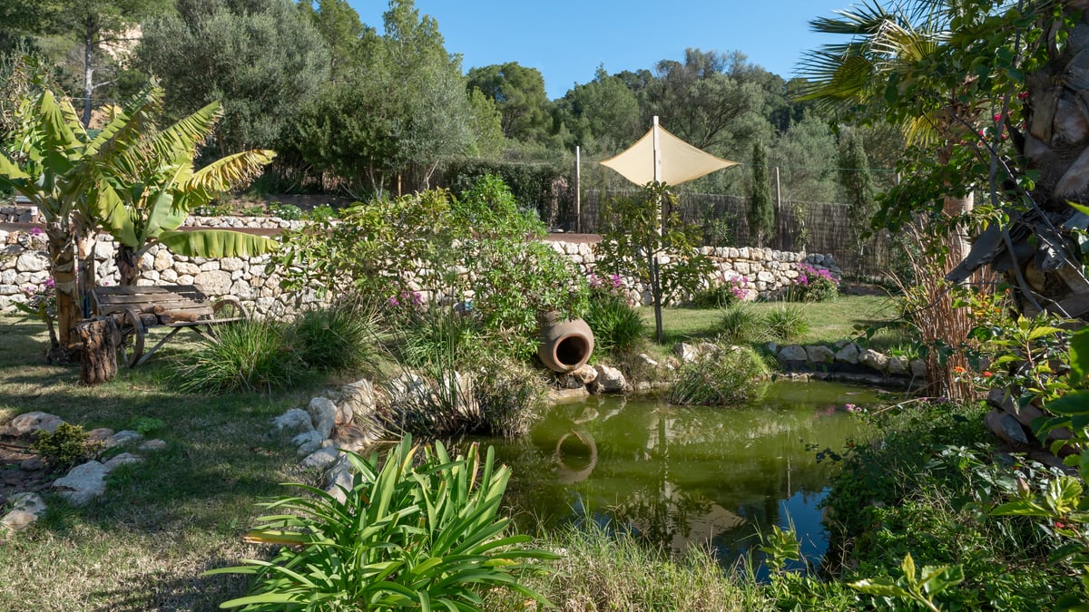 Un étang de jardin naturel entouré de verdure, une jarre en terre cuite et un mur traditionnel en pierre sèche.