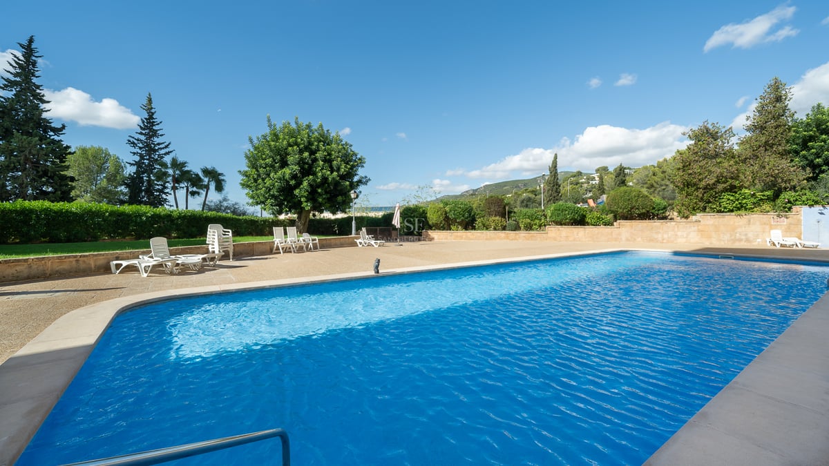 Grande piscine bleue entourée d'une terrasse en pierre avec des chaises longues et des arbres sous un ciel dégagé.