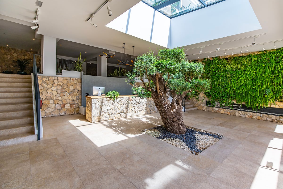 Lobby contemporain présentant un grand olivier d'intérieur sous un puits de lumière, des murs en pierre et un mur végétal.