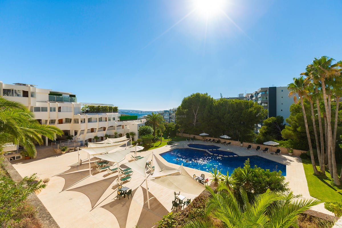 Grande piscine bleue entourée d'une terrasse beige, voiles d'ombrage blanches et palmiers sous un soleil radieux.