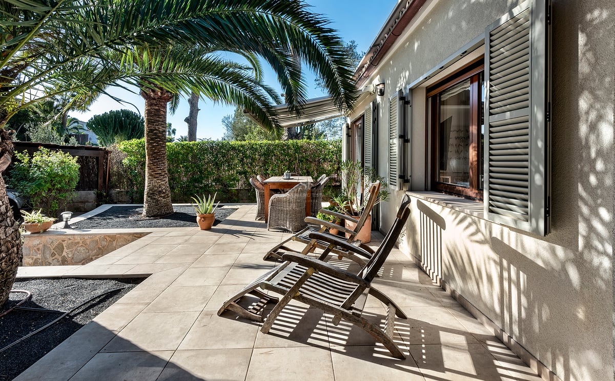 Patio ensoleillé avec chaises longues en bois, coin repas et un grand palmier contre une façade avec volets.