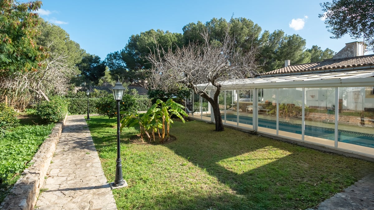 Allée en pierre naturelle traversant un jardin tropical menant à une piscine abritée par une structure en verre.