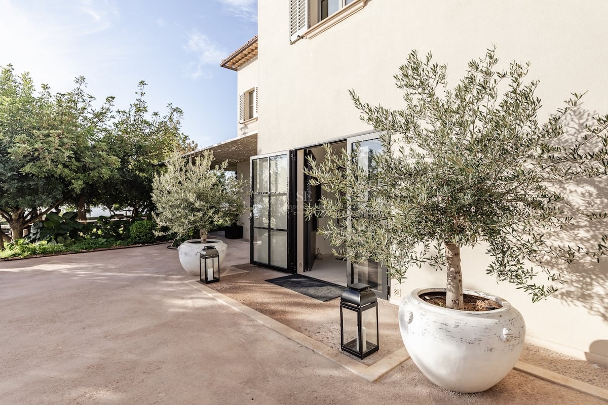 Entrée de villa de luxe avec oliviers en pots blancs et lanternes noires sur une terrasse en pierre naturelle.