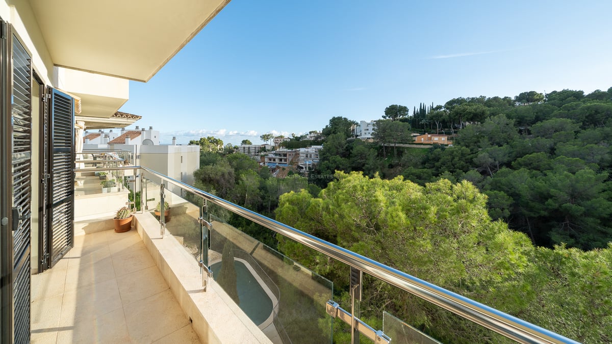 Grande terrasse avec garde-corps en verre surplombant une forêt verdoyante et une piscine en contrebas.