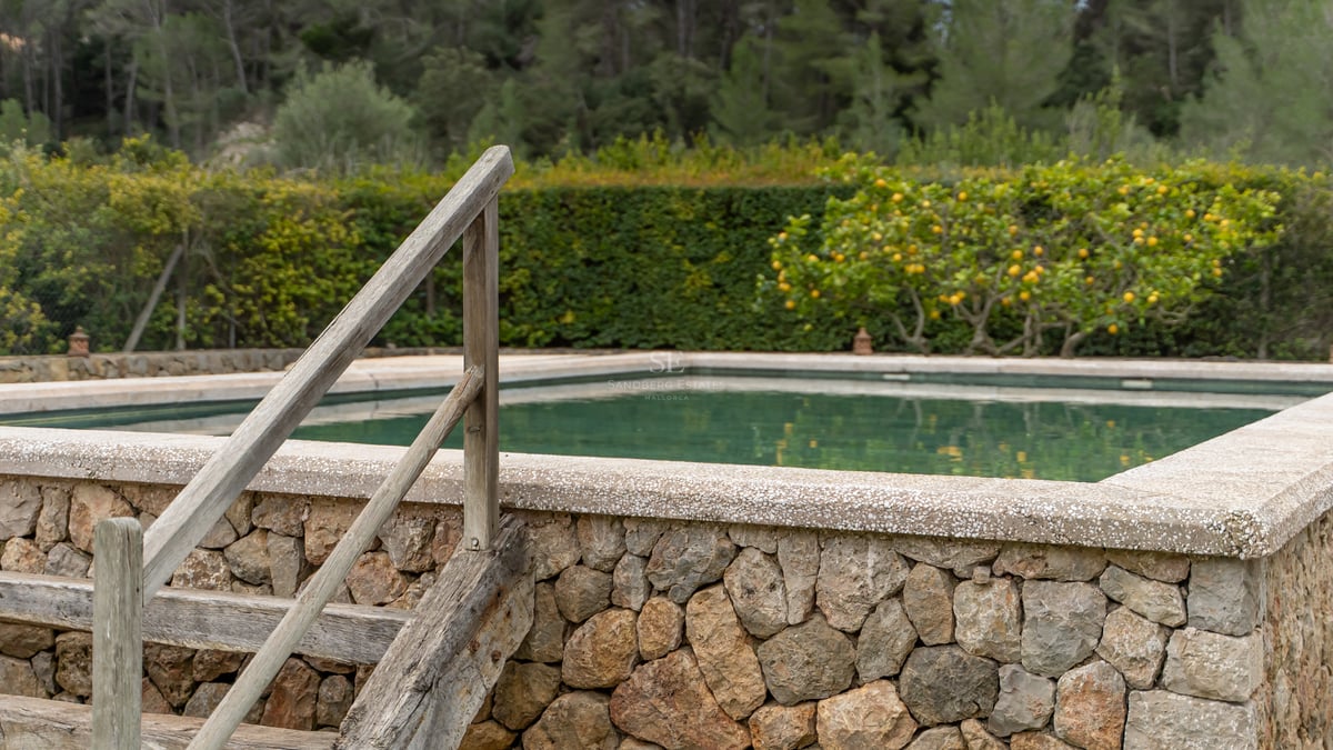 Piscine surélevée avec murs en pierre naturelle et échelle en bois, entourée d'un jardin et d'un citronnier.