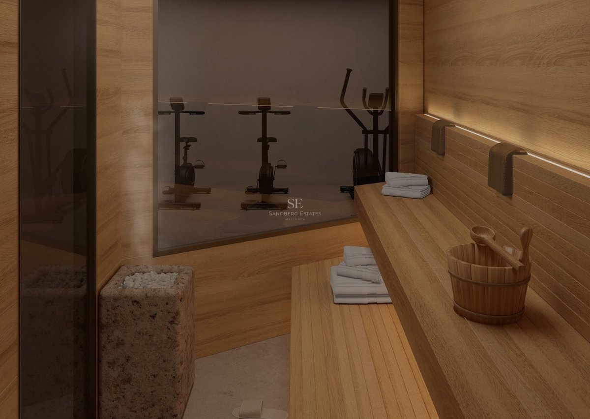 Intérieur d'un sauna moderne en bois avec poêle à pierres, vapeur et vue sur une salle de sport adjacente.