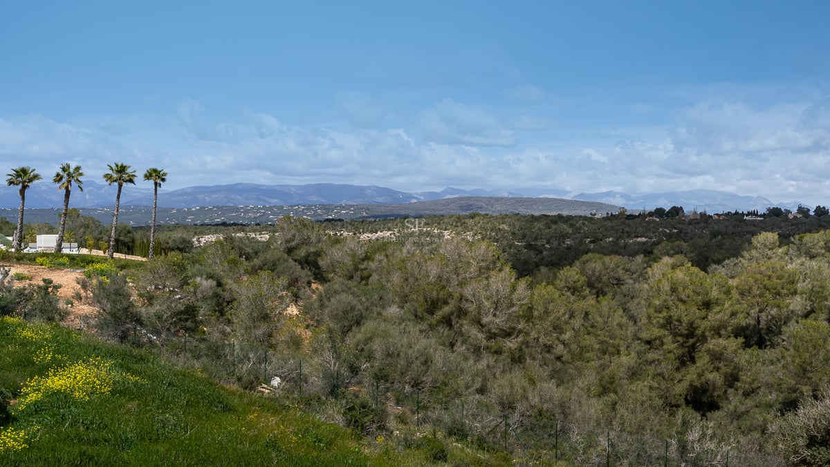 Vue panoramique sur les collines verdoyantes et les montagnes lointaines sous un ciel bleu avec quelques nuages.